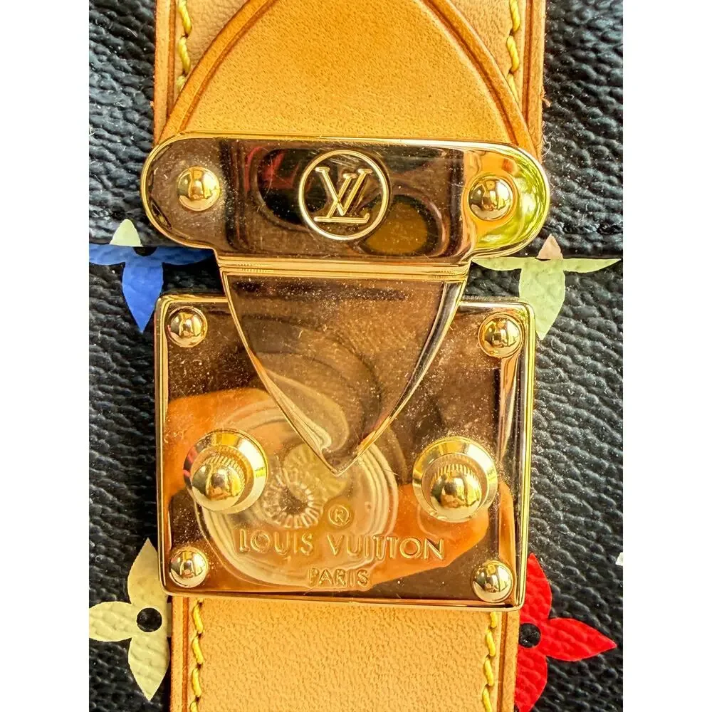 Louis Vuitton color multicolor